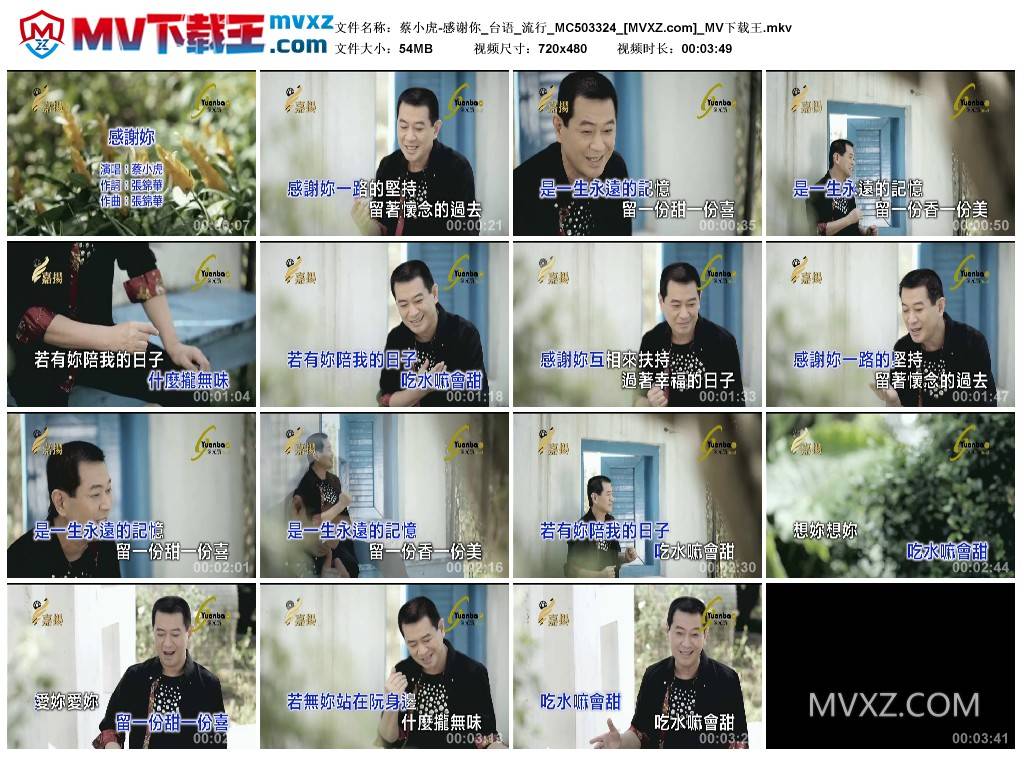 蔡小虎-感谢你_台语_流行_MC503324
